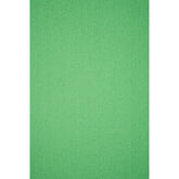 Hobby Vilt | lapje 20 x 30 cm | vintage groen Vilt VILT - PES - 2030 - VINTAGE - GROEN - 17 8717738993994